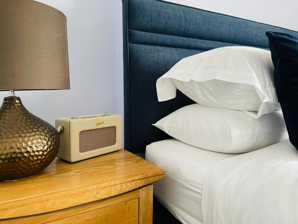 Caemorgan Mansion Hotel Cardigan Ngoại thất bức ảnh